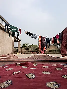 Ishikarana online show from December 30, 2024, 8:32 am