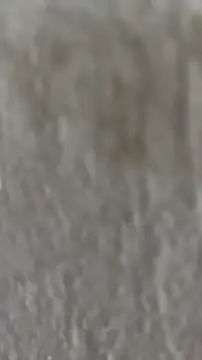 Ishikarana online show from October 8, 2025, 5:05 am