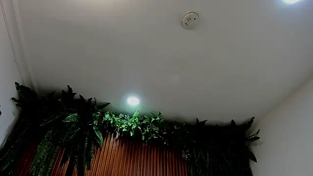 alice greco online show from March 6, 2026, 7:10 pm