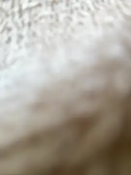 RiriRoseey online show from April 5, 2026, 7:49 am