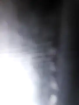 studboy1111 online show from December 31, 2024, 6:46 pm