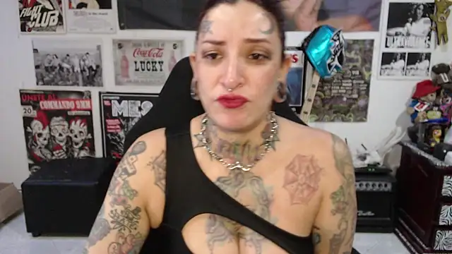 Snapshot of Rollyderolandia666 chatting on May 5, 2026, 8:17 pm Rollyderolandia666 online show from May 5, 2026, 8:17 pm