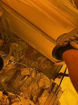 cussy007 online show from April 13, 2026, 10:10 am