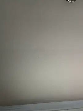 El Gizmo online show from January 8, 2025, 7:24 pm