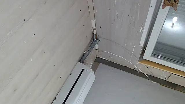 CRISTIINA37 online show from January 14, 2026, 2:01 pm