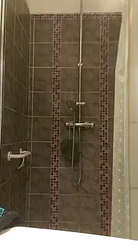 Snapshot of pachapeter chatting on January 29, 2025, 5:24 pm pachapeter online show from January 29, 2025, 5:24 pm