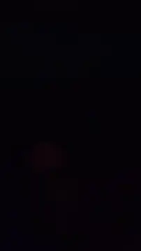 Snapshot of pachapeter chatting on October 4, 2025, 8:29 pm pachapeter online show from October 4, 2025, 8:29 pm