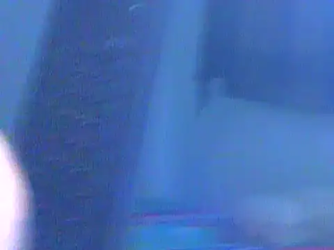 Ian zaenzz online show from December 7, 2024, 8:38 pm