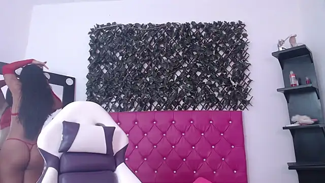 michel cardona online show from November 11, 2025, 4:40 pm