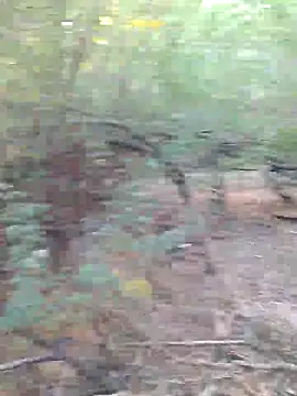 Ajith mvi online show from March 29, 2026, 2:44 am