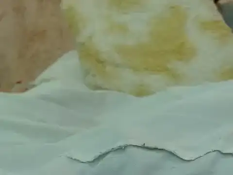 hairy pussywet online show from February 4, 2025, 12:40 am