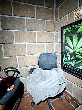 Pitudo20cmm online show from December 5, 2025, 7:28 am