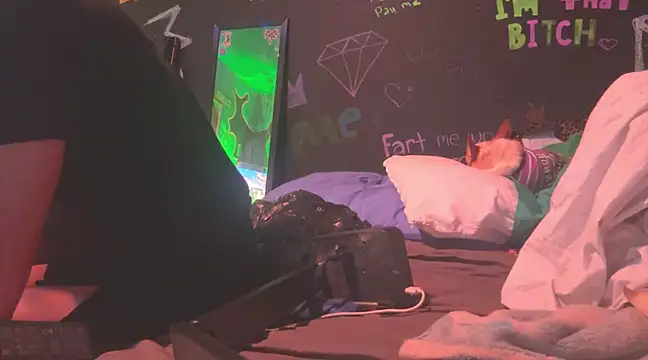 watermellonpussy online show from January 6, 2025, 8:28 pm