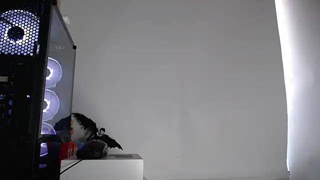 harold 18  online show from October 2, 2025, 6:15 pm