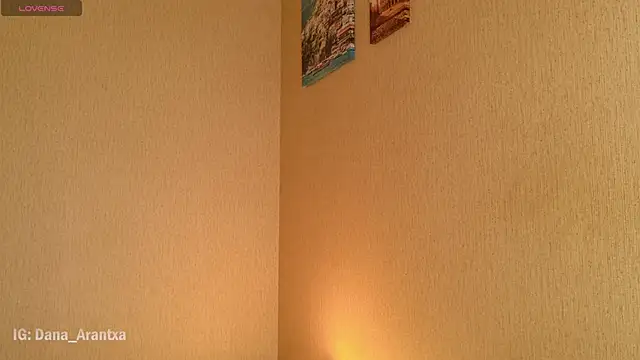 DanArant online show from October 11, 2025, 8:51 pm