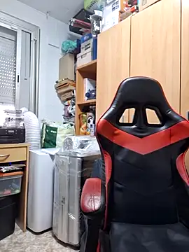 Javier bear online show from November 6, 2025, 2:07 pm