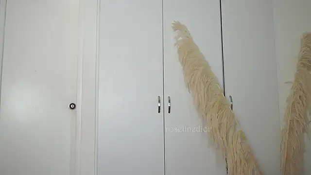 roselinedior online show from October 10, 2025, 2:05 pm