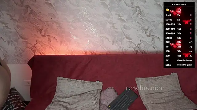 roselinedior online show from November 26, 2025, 1:34 pm