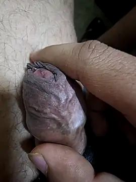 krama04 online show from April 10, 2026, 11:37 am