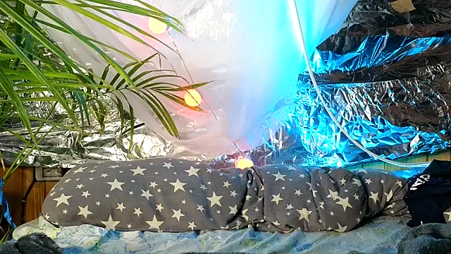 Jony Marta online show from October 9, 2025, 9:40 am