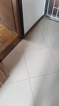 ssara miranda online show from April 24, 2026, 2:41 pm