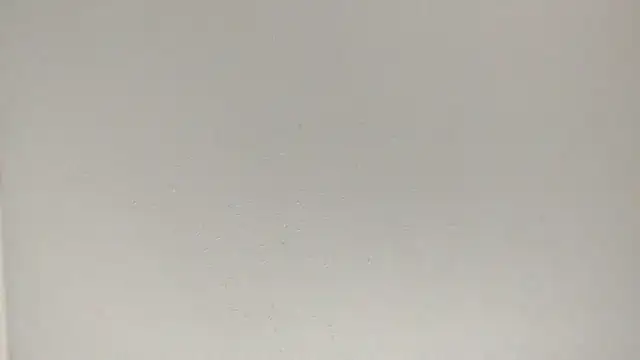 fukurbutt online show from February 3, 2026, 7:08 pm