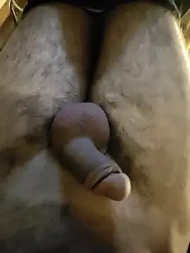NilsonDick online show from April 29, 2026, 2:32 pm