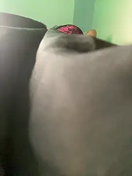 Cherrytowild online show from February 17, 2025, 8:47 pm