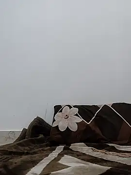 Aaradhya online show from April 21, 2026, 1:42 am