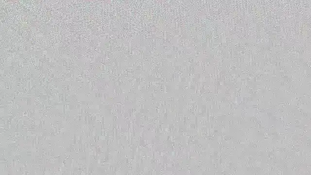 PornoGirlX online show from February 4, 2025, 7:55 pm