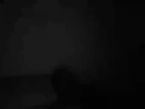 jackbigcock11 online show from December 20, 2025, 12:01 pm