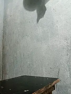 Sergipano fogozinho online show from December 5, 2025, 1:47 am