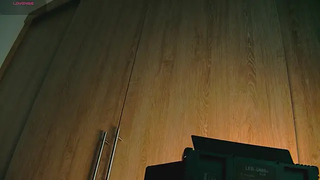 Snapshot of aidaadams chatting on October 25, 2025, 8:33 am aidaadams online show from October 25, 2025, 8:33 am