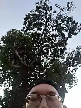 Natanzinhoz online show from December 3, 2025, 8:07 pm