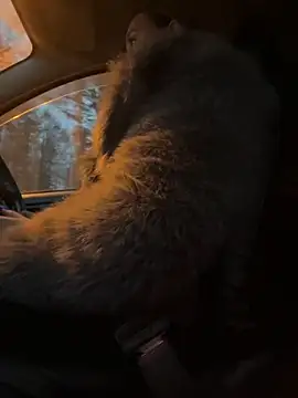 StasyWood online show from November 27, 2025, 2:02 am