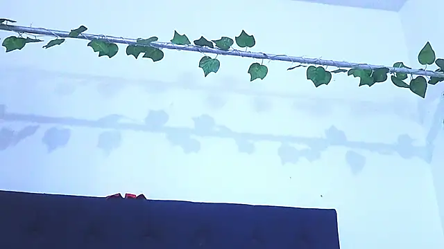 AliciaBasch online show from January 9, 2025, 2:01 am