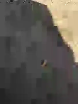 Beijing2000 online show from January 27, 2025, 5:14 am