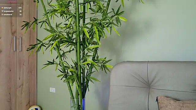 were-Naughty online show from February 27, 2025, 11:15 pm