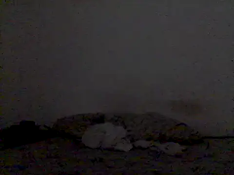 mariy  online show from March 3, 2025, 9:48 pm