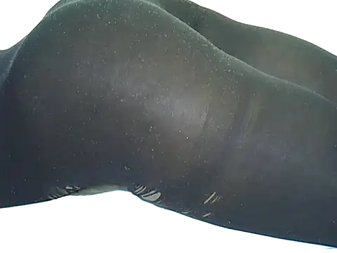 candililie online show from September 12, 2025, 6:35 am