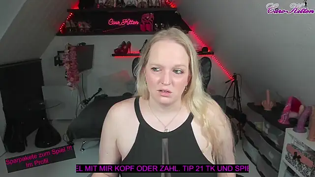 caro kitten online show from January 25, 2025, 11:13 am