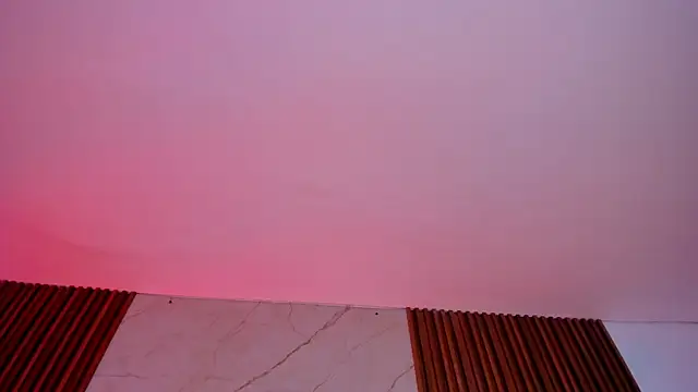 Emiilycollins online show from January 24, 2025, 4:37 am