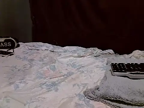 Snapshot of heather_savage chatting on March 1, 2025, 11:17 am heather savage online show from March 1, 2025, 11:17 am