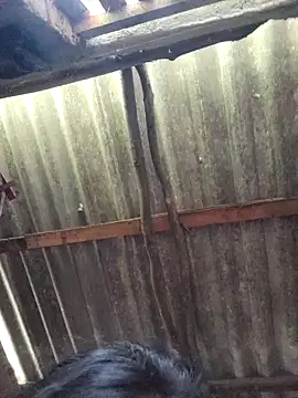 HotSexyBoudi online show from September 9, 2025, 9:31 am