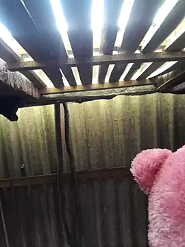 HotSexyBoudi online show from September 25, 2025, 8:51 am