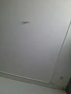 Maryan27 online show from February 2, 2026, 11:53 am