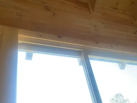 trash4cash online show from January 4, 2025, 3:17 pm