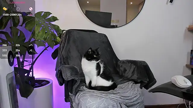 ariana fitl  online show from January 28, 2025, 3:47 am