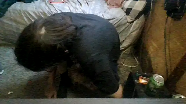 ySqmbVanbe online show from April 19, 2026, 4:39 pm