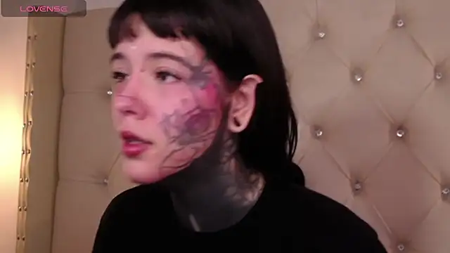 SylveonFox online show from December 15, 2024, 8:52 am